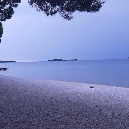 Debora Sa Privatnim Bazenom アパート プーラ